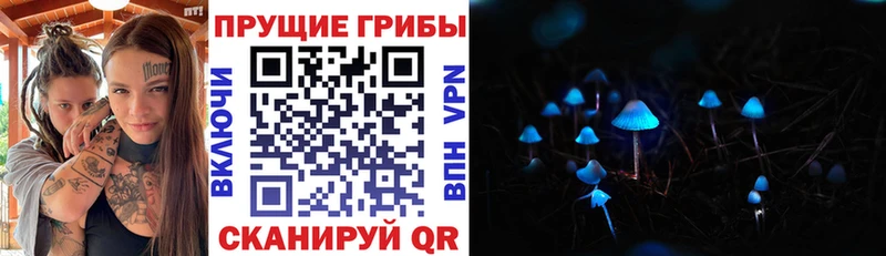 omg ссылки  Судогда  Псилоцибиновые грибы ЛСД 
